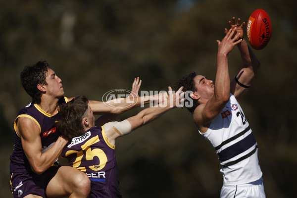 Coates League Boys 2023 - Northern Knights v Oakleigh Chargers - A-42669362