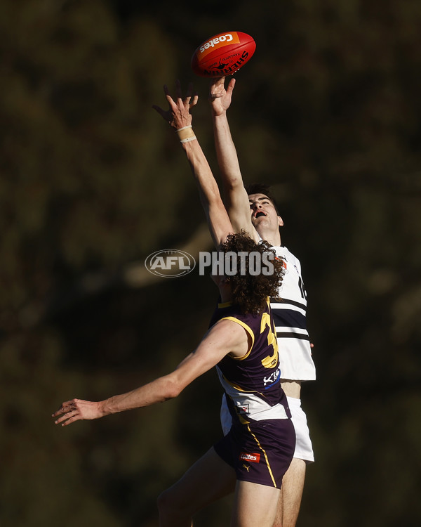 Coates League Boys 2023 - Northern Knights v Oakleigh Chargers - A-42674746