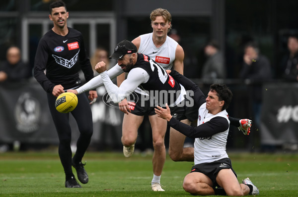 AFL 2023 Training - Collingwood 050923 - A-42697330