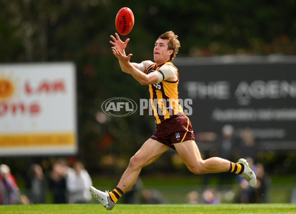 VFL 2023 Semi Final — Box Hill Hawks v Footscray Bulldogs - A-43008375