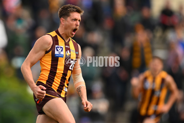 VFL 2023 Semi Final — Box Hill Hawks v Footscray Bulldogs - A-43008402