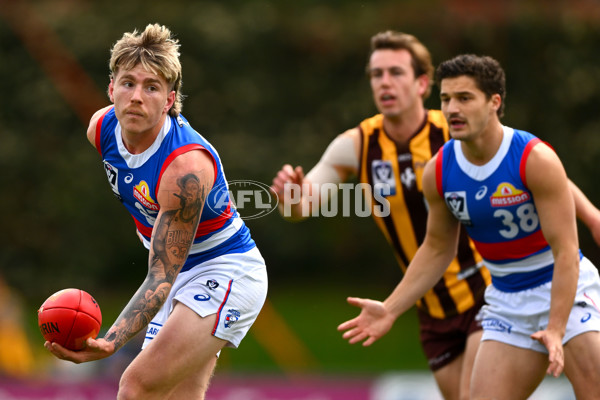 VFL 2023 Semi Final — Box Hill Hawks v Footscray Bulldogs - A-43008845