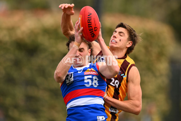 VFL 2023 Semi Final — Box Hill Hawks v Footscray Bulldogs - A-43008858