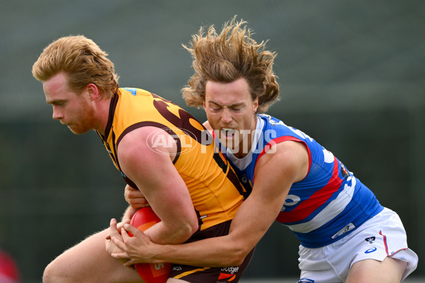 VFL 2023 Semi Final — Box Hill Hawks v Footscray Bulldogs - A-43008887