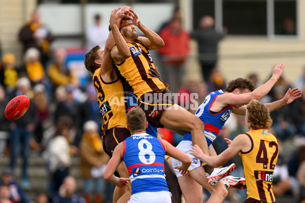 VFL 2023 Semi Final — Box Hill Hawks v Footscray Bulldogs - A-43008890