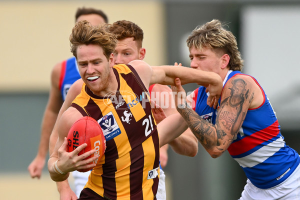 VFL 2023 Semi Final — Box Hill Hawks v Footscray Bulldogs - A-43008927