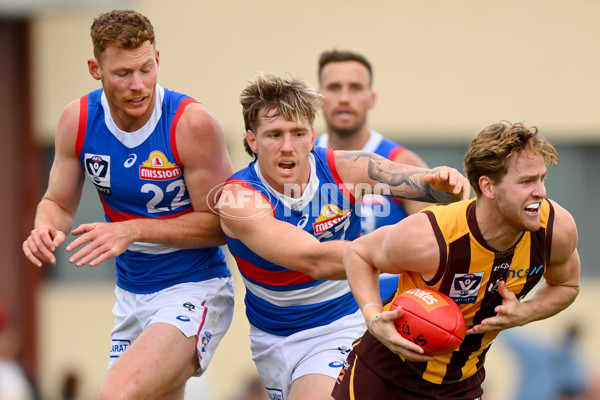 VFL 2023 Semi Final — Box Hill Hawks v Footscray Bulldogs - A-43008930