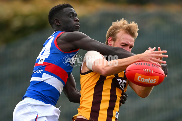 VFL 2023 Semi Final — Box Hill Hawks v Footscray Bulldogs - A-43010708