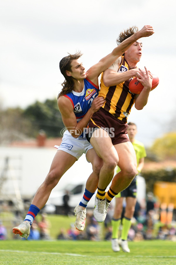 VFL 2023 Semi Final — Box Hill Hawks v Footscray Bulldogs - A-43010724