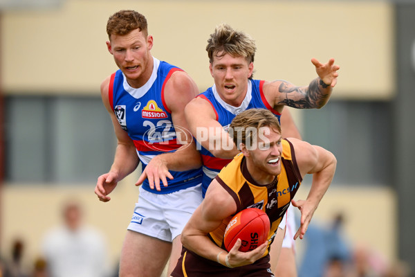 VFL 2023 Semi Final — Box Hill Hawks v Footscray Bulldogs - A-43011658