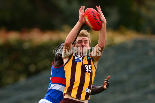 VFL 2023 Semi Final — Box Hill Hawks v Footscray Bulldogs - A-43011673