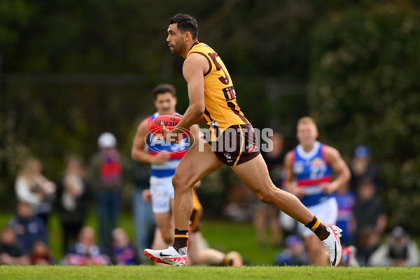 VFL 2023 Semi Final — Box Hill Hawks v Footscray Bulldogs - A-43011674