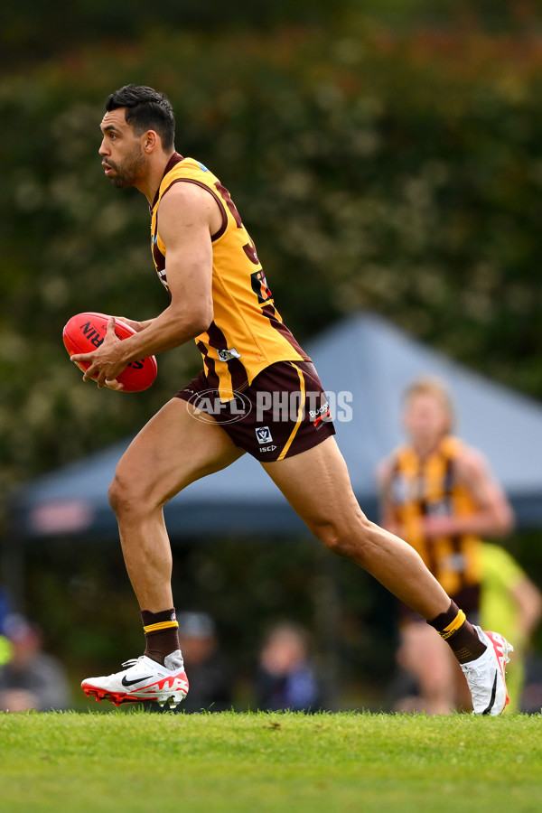 VFL 2023 Semi Final — Box Hill Hawks v Footscray Bulldogs - A-43011675