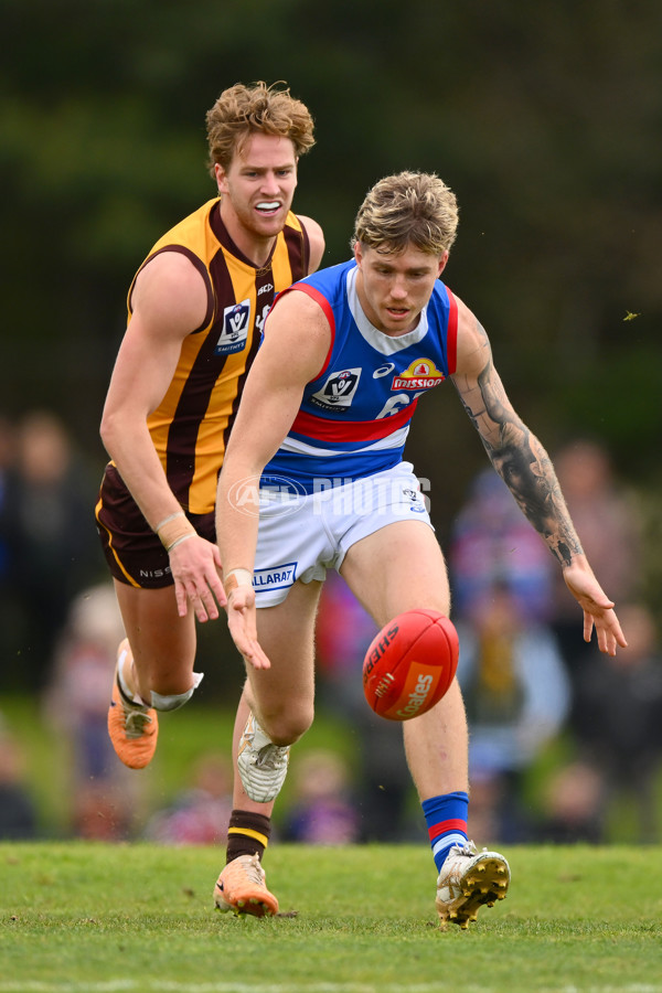 VFL 2023 Semi Final — Box Hill Hawks v Footscray Bulldogs - A-43013415