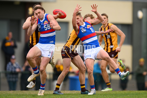 VFL 2023 Semi Final — Box Hill Hawks v Footscray Bulldogs - A-43013455