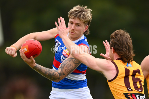 VFL 2023 Semi Final — Box Hill Hawks v Footscray Bulldogs - A-43014082