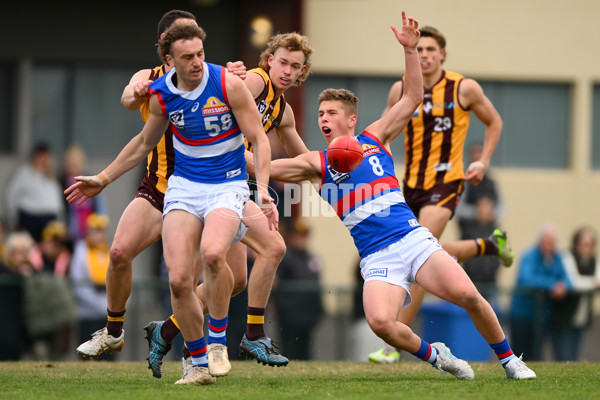 VFL 2023 Semi Final — Box Hill Hawks v Footscray Bulldogs - A-43014115