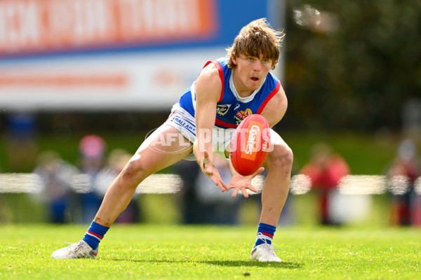 VFL 2023 Semi Final — Box Hill Hawks v Footscray Bulldogs - A-43015933