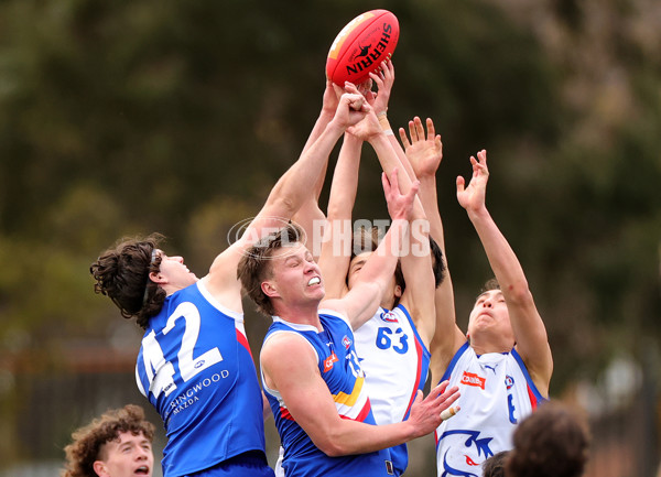 Coates Talent League Boys 2023 — Eastern Ranges v Oakleigh Chargers - A-43015969