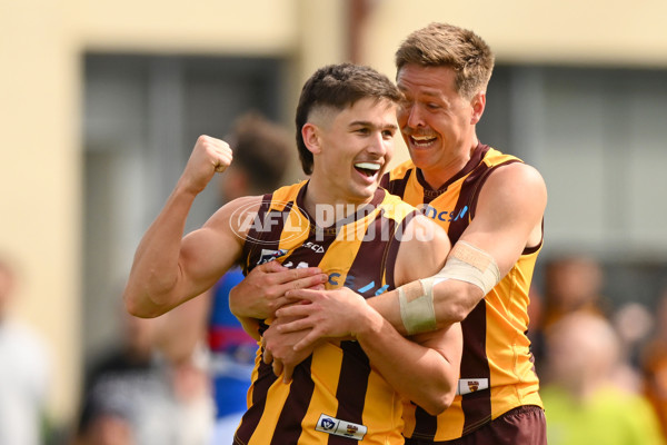 VFL 2023 Semi Final — Box Hill Hawks v Footscray Bulldogs - A-43015981