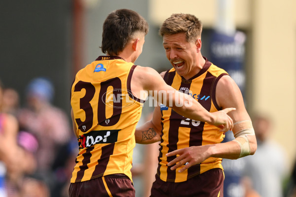 VFL 2023 Semi Final — Box Hill Hawks v Footscray Bulldogs - A-43015984