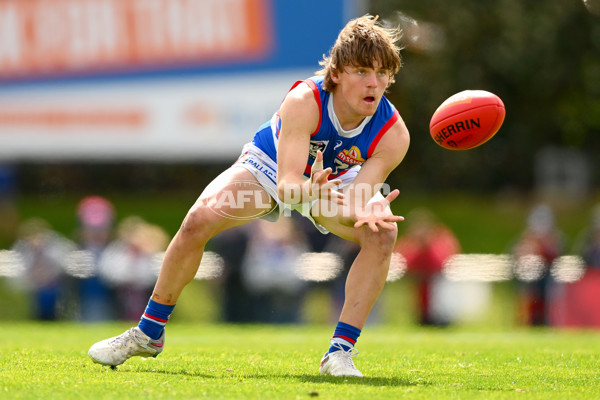 VFL 2023 Semi Final — Box Hill Hawks v Footscray Bulldogs - A-43016715