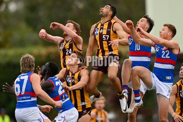 VFL 2023 Semi Final — Box Hill Hawks v Footscray Bulldogs - A-43018601