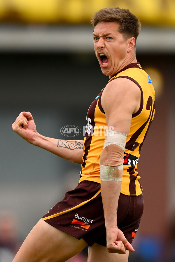 VFL 2023 Semi Final — Box Hill Hawks v Footscray Bulldogs - A-43019292