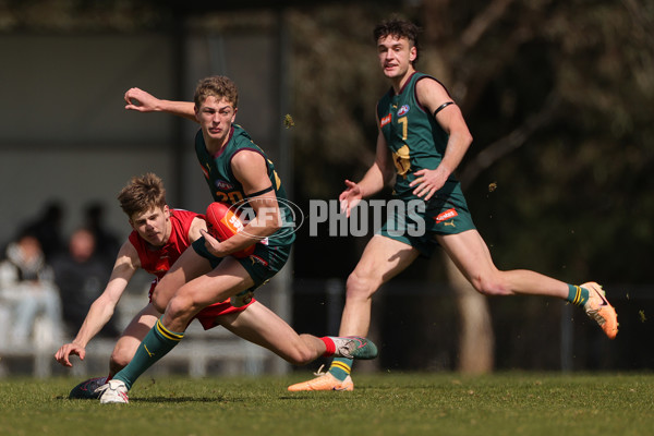 Coates Talent League Boys 2023 — Tasmania Devils v Gippsland Power - A-43035182