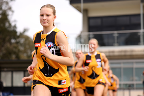 Coates Talent League Girls 2023 - Dandenong Stingrays v GWV Rebels - A-43055512