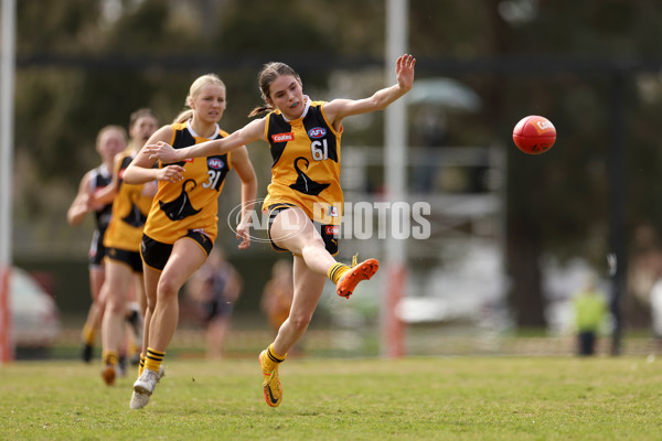 Coates Talent League Girls 2023 - Dandenong Stingrays v GWV Rebels - A-43059222