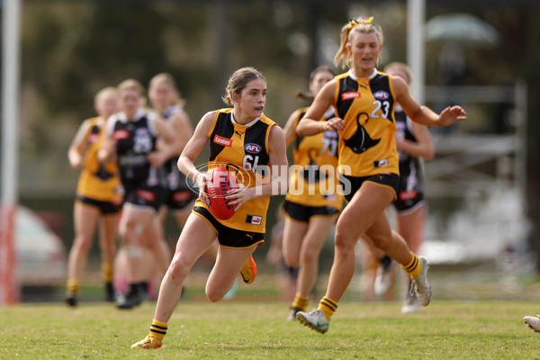 Coates Talent League Girls 2023 - Dandenong Stingrays v GWV Rebels - A-43059223