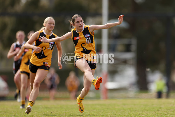 Coates Talent League Girls 2023 - Dandenong Stingrays v GWV Rebels - A-43059224