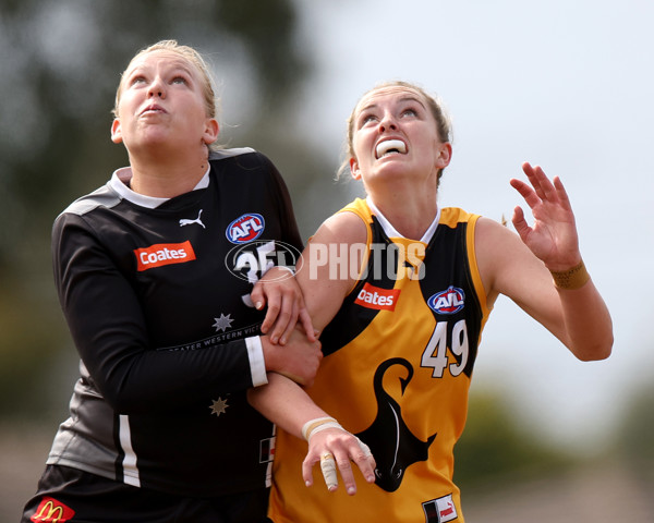 Coates Talent League Girls 2023 - Dandenong Stingrays v GWV Rebels - A-43059226