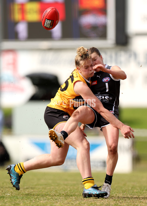 Coates Talent League Girls 2023 - Dandenong Stingrays v GWV Rebels - A-43061363