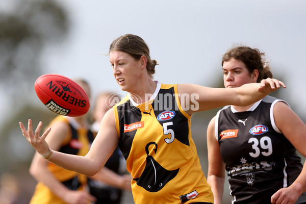 Coates Talent League Girls 2023 - Dandenong Stingrays v GWV Rebels - A-43061367