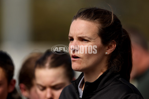 Coates Talent League Girls 2023 - Dandenong Stingrays v GWV Rebels - A-43061417