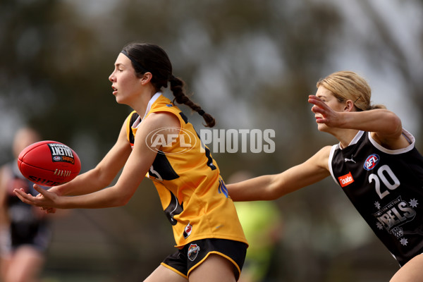 Coates Talent League Girls 2023 - Dandenong Stingrays v GWV Rebels - A-43066159