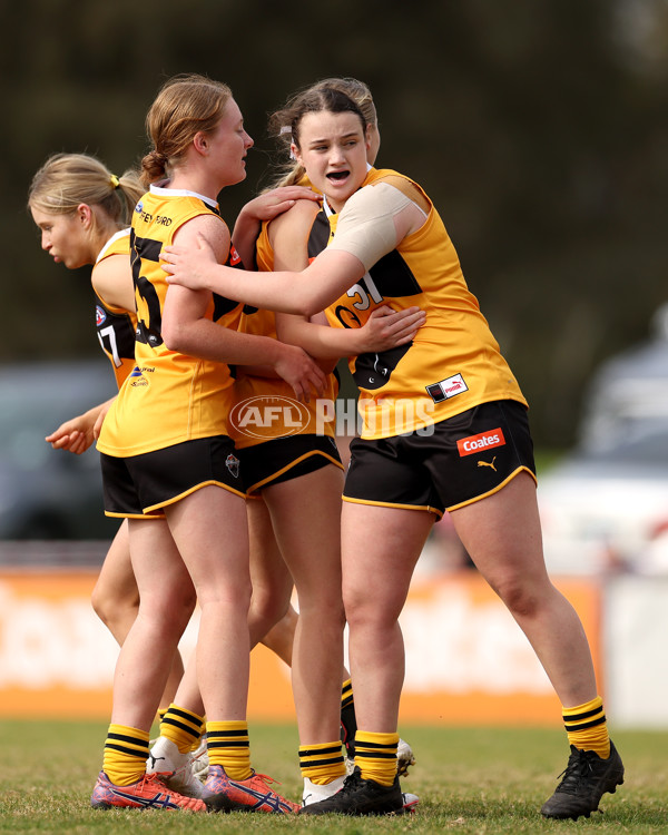 Coates Talent League Girls 2023 - Dandenong Stingrays v GWV Rebels - A-43066172