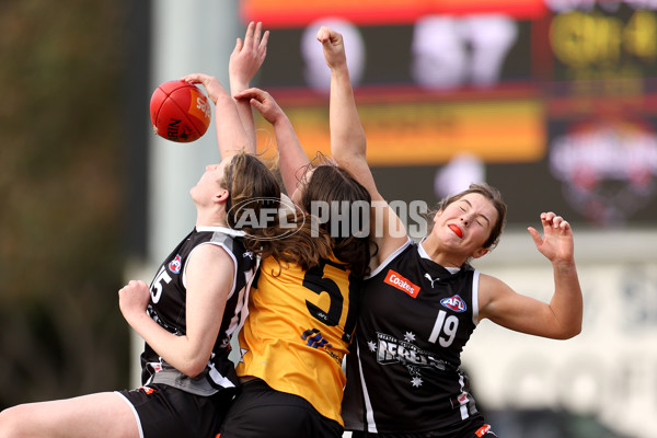 Coates Talent League Girls 2023 - Dandenong Stingrays v GWV Rebels - A-43066184