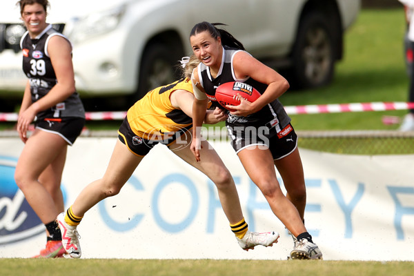 Coates Talent League Girls 2023 - Dandenong Stingrays v GWV Rebels - A-43067436