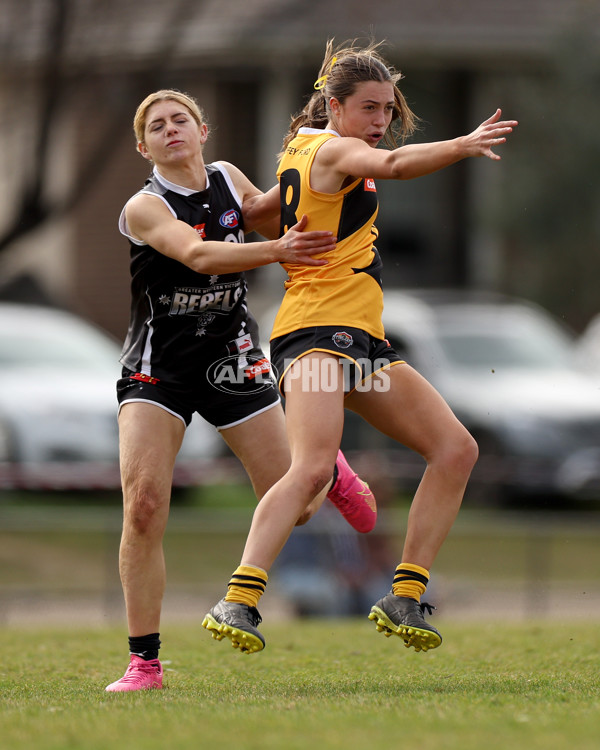 Coates Talent League Girls 2023 - Dandenong Stingrays v GWV Rebels - A-43067468