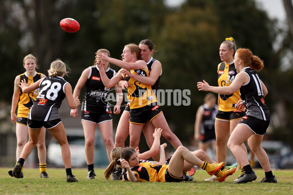 Coates Talent League Girls 2023 - Dandenong Stingrays v GWV Rebels - A-43067470