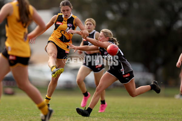 Coates Talent League Girls 2023 - Dandenong Stingrays v GWV Rebels - A-43067476