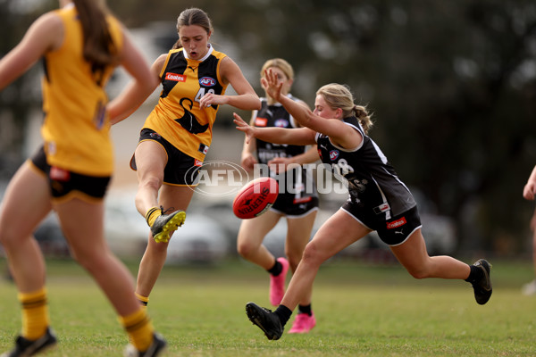 Coates Talent League Girls 2023 - Dandenong Stingrays v GWV Rebels - A-43068830