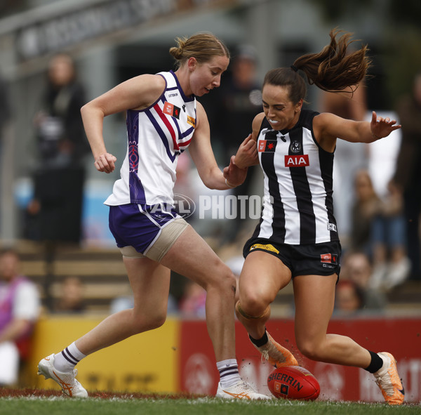 AFLW 2023 Round 02 - Collingwood v Fremantle - A-43071762