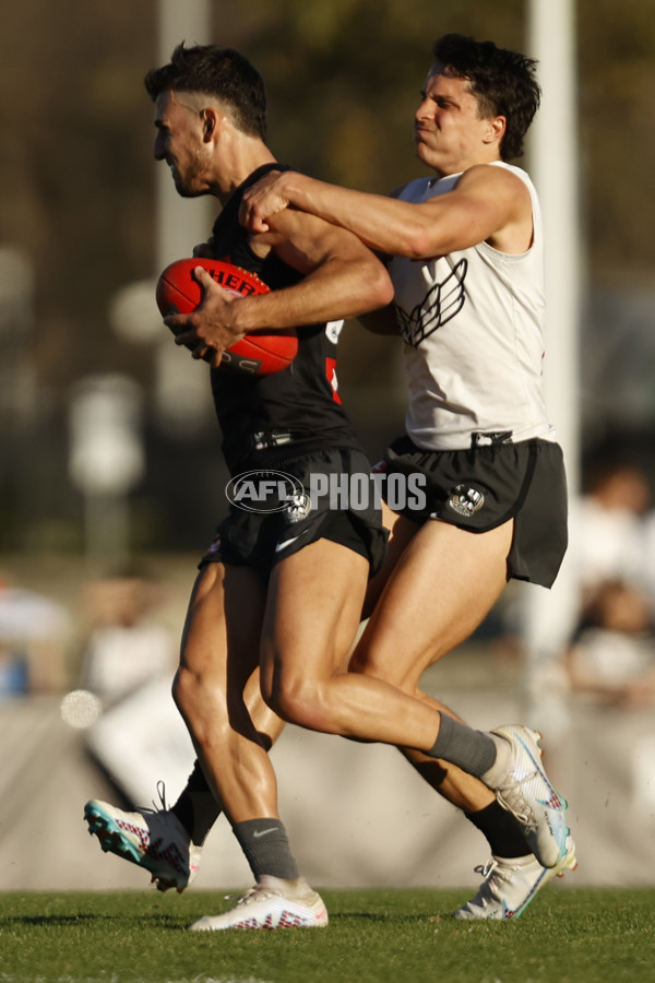 AFL 2023 Training - Collingwood 150923 - A-43162360