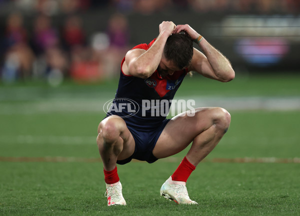 AFL 2023 First Semi Final - Melbourne v Carlton - A-43178129