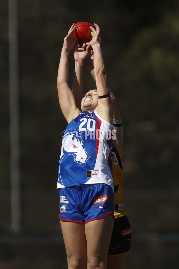 Coates League Girls 2023 - Dandenong Stingrays v Oakleigh Chargers - A-43182404