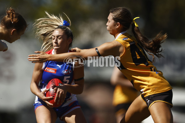 Coates League Girls 2023 - Dandenong Stingrays v Oakleigh Chargers - A-43182408